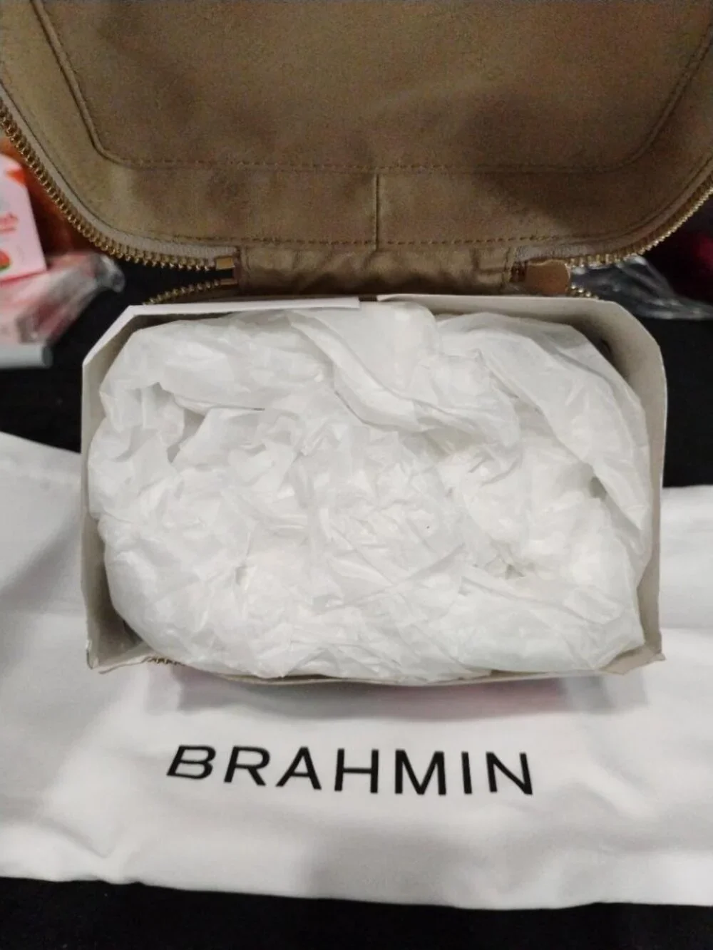 Brahmin Multicolor Impression Melbourne DI Iridescent Charmaine Travel Case NWT